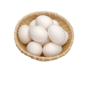 Duck Egg (1)