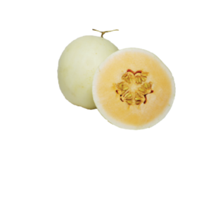 Honeydew Melon