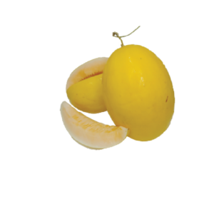 Yellow Melon Fruit