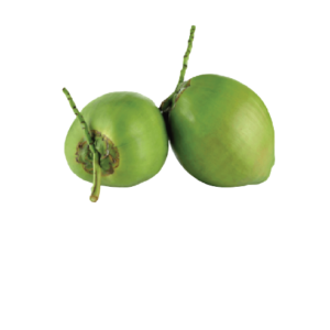 Green Small Coconut