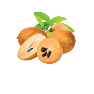 Sapodilla Fruit