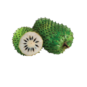 Sour Sop Fruit