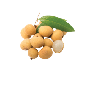 Longan Fruit (VN)