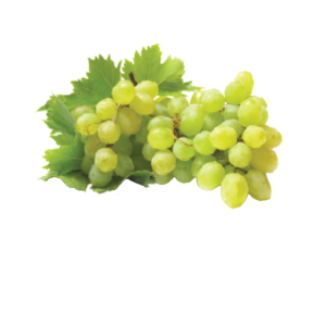 Green Grape