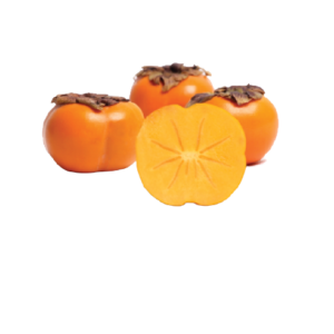 Persimon Fruit