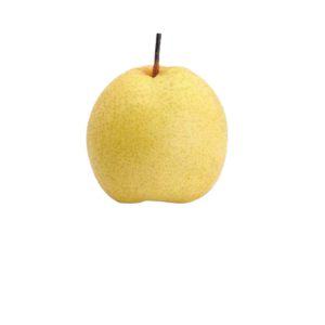 Normal Pear Fruit