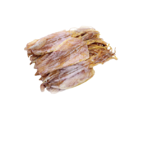 Dried Squid II