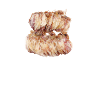 Dried Squid III