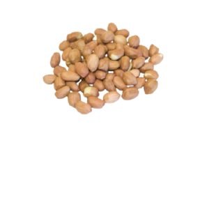 Raw Peanut