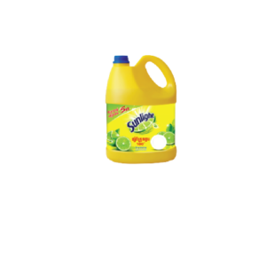 Dish Washing Saop 3.5L