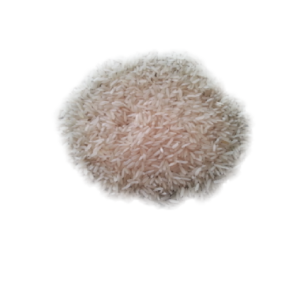 Jasmin Rice  (50Kg)