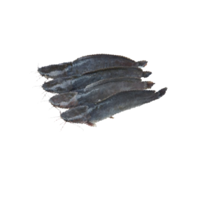 Clarias Fish (Cleaned)