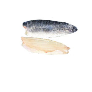 Head Snaked Fish Fillet