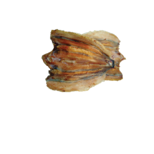 Dried Fish