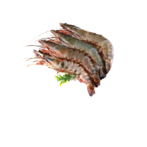 Tiger Prawn 20-25 pcs