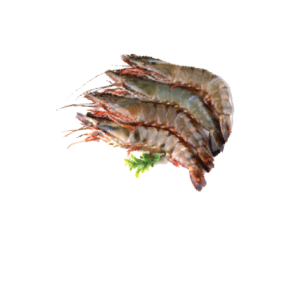 Tiger Prawn Black 30-45pcs/kg