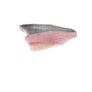 Fillet Seabas Fish