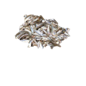 Esomous Fish (Cleaned)