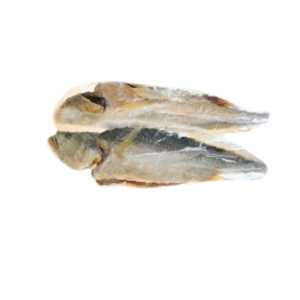 Bosemen Croaker Fish (No3)