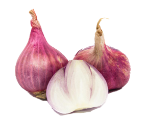 ប្រភេទ ឫស ក្នុងស្រុក